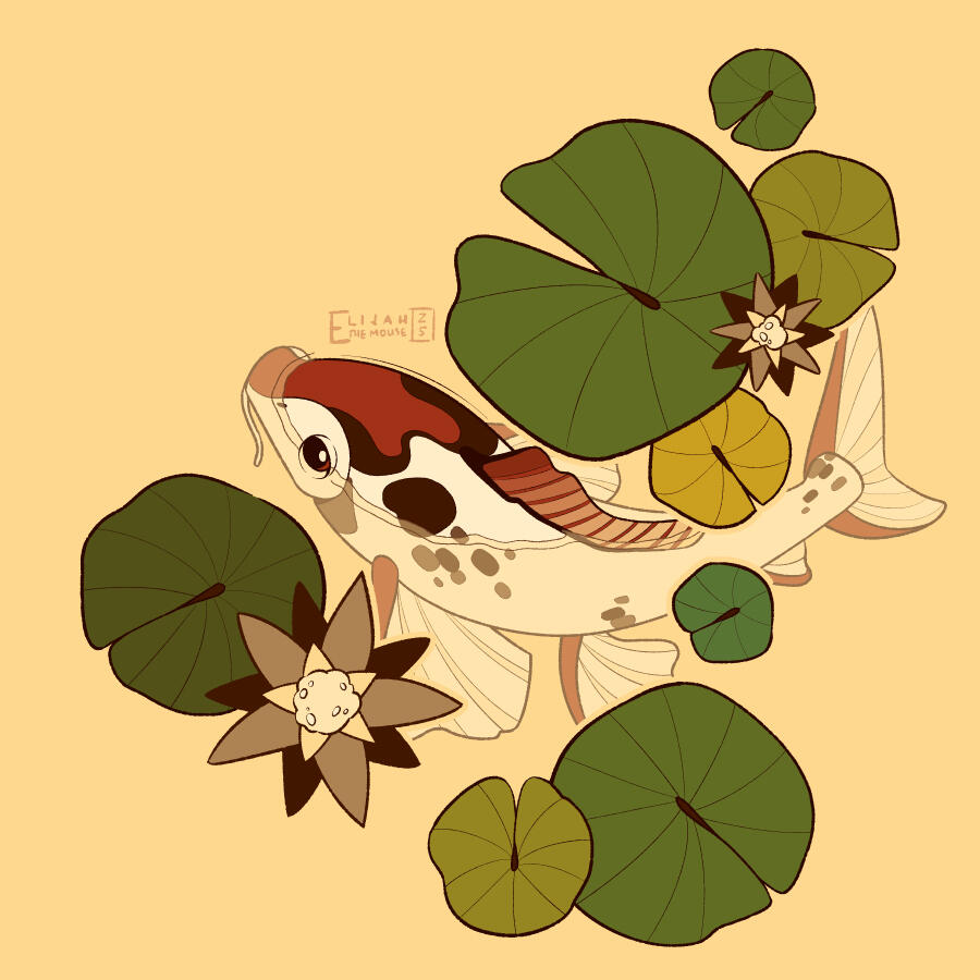 Waterlily Koi