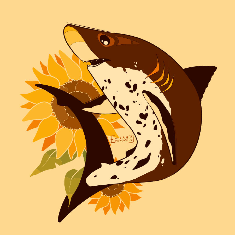 Sunflower Shark