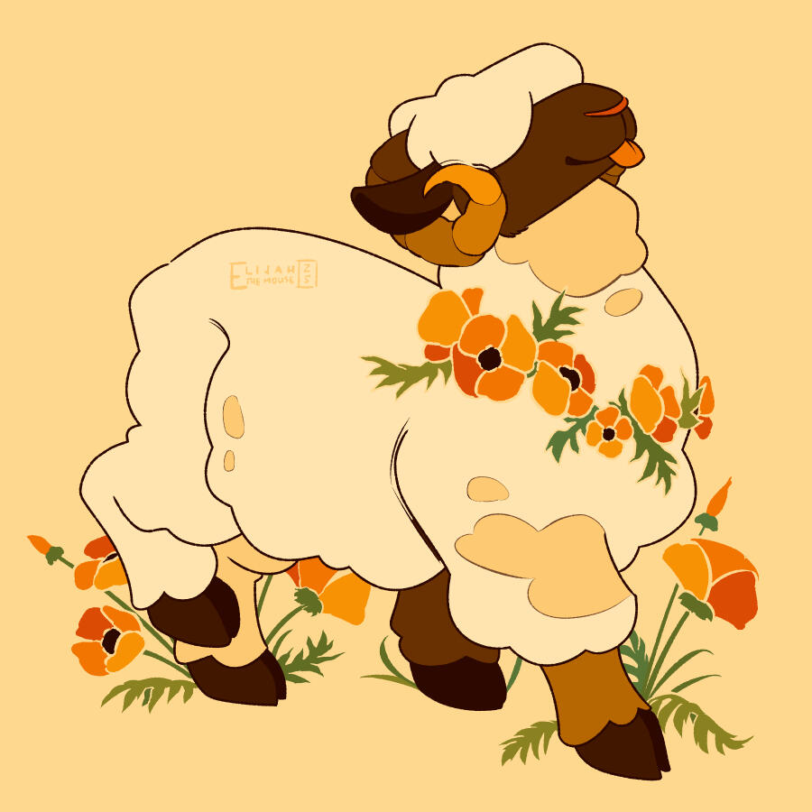 Poppy Sheep
