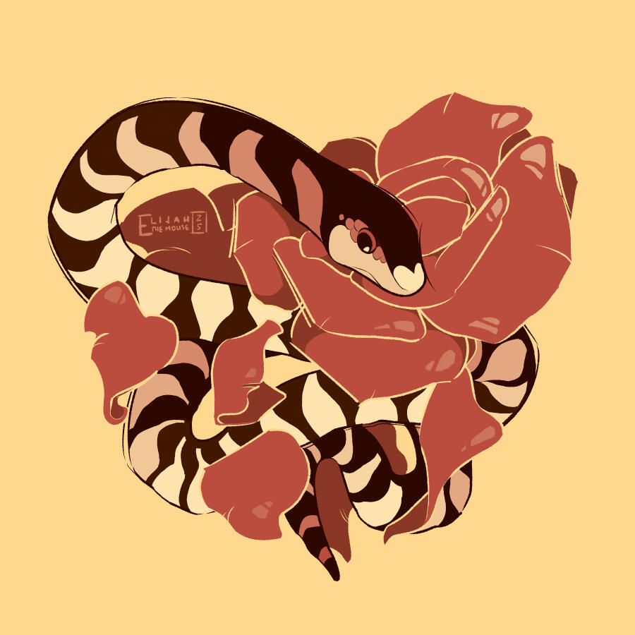 An illustration of a California King Snake, coiled around some pink roses. The shape of the snake and the flowers make a heart.