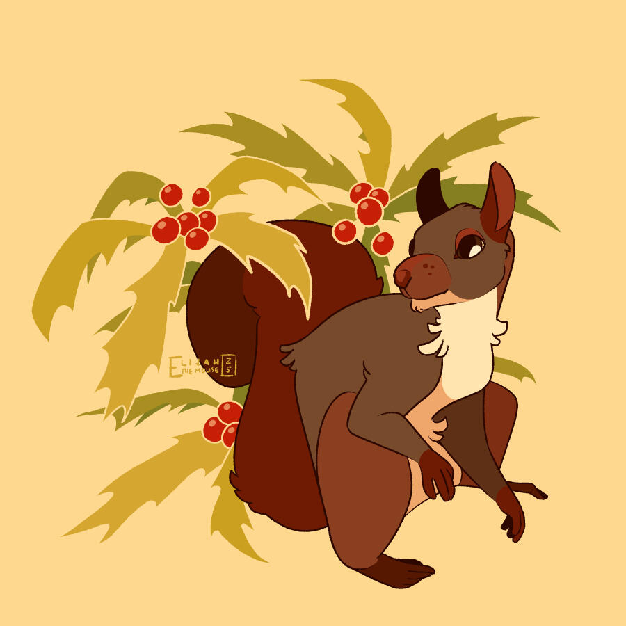 Holly Squirrel