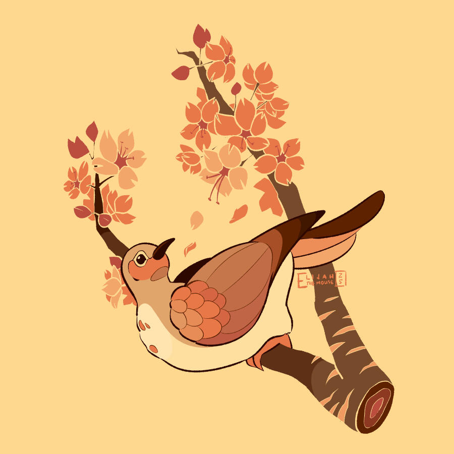 Cherry Blossom Dove