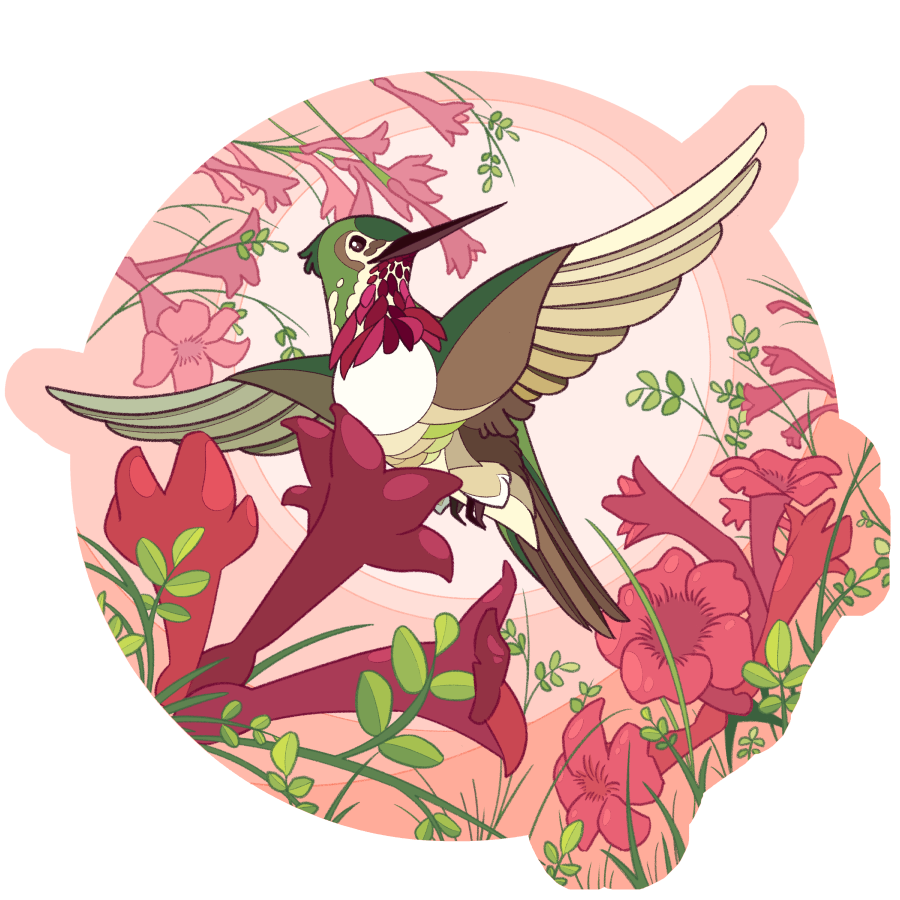 An illustration of a hummingbird flying among many pink flowers.