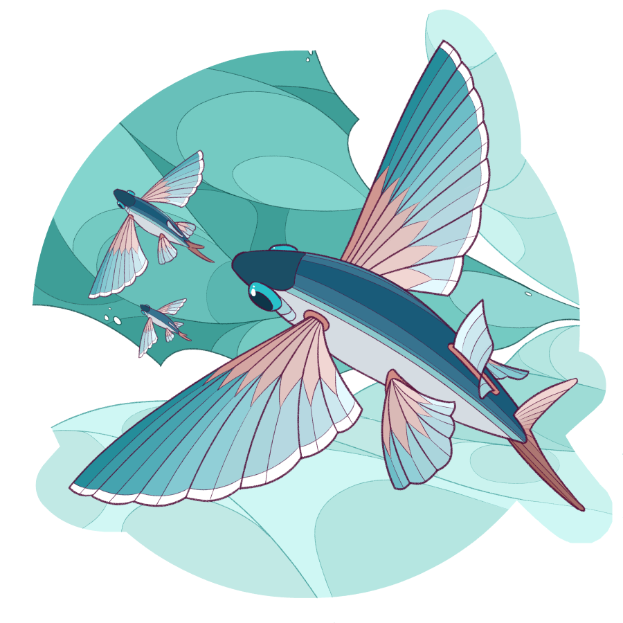 An illustration of three flying fish, seen as though looking down at them, as they leap over a teal ocean.
