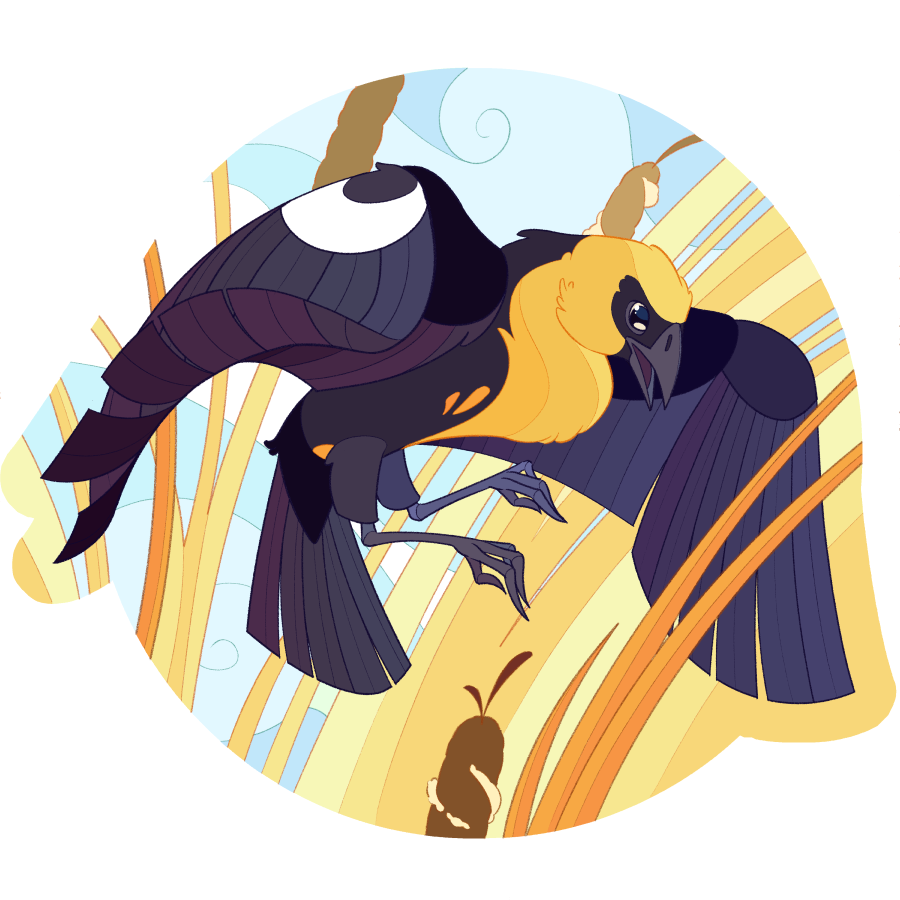 An illustration of a yellow-headed blackbird flying down towards tall yellow grasses and cattails.
