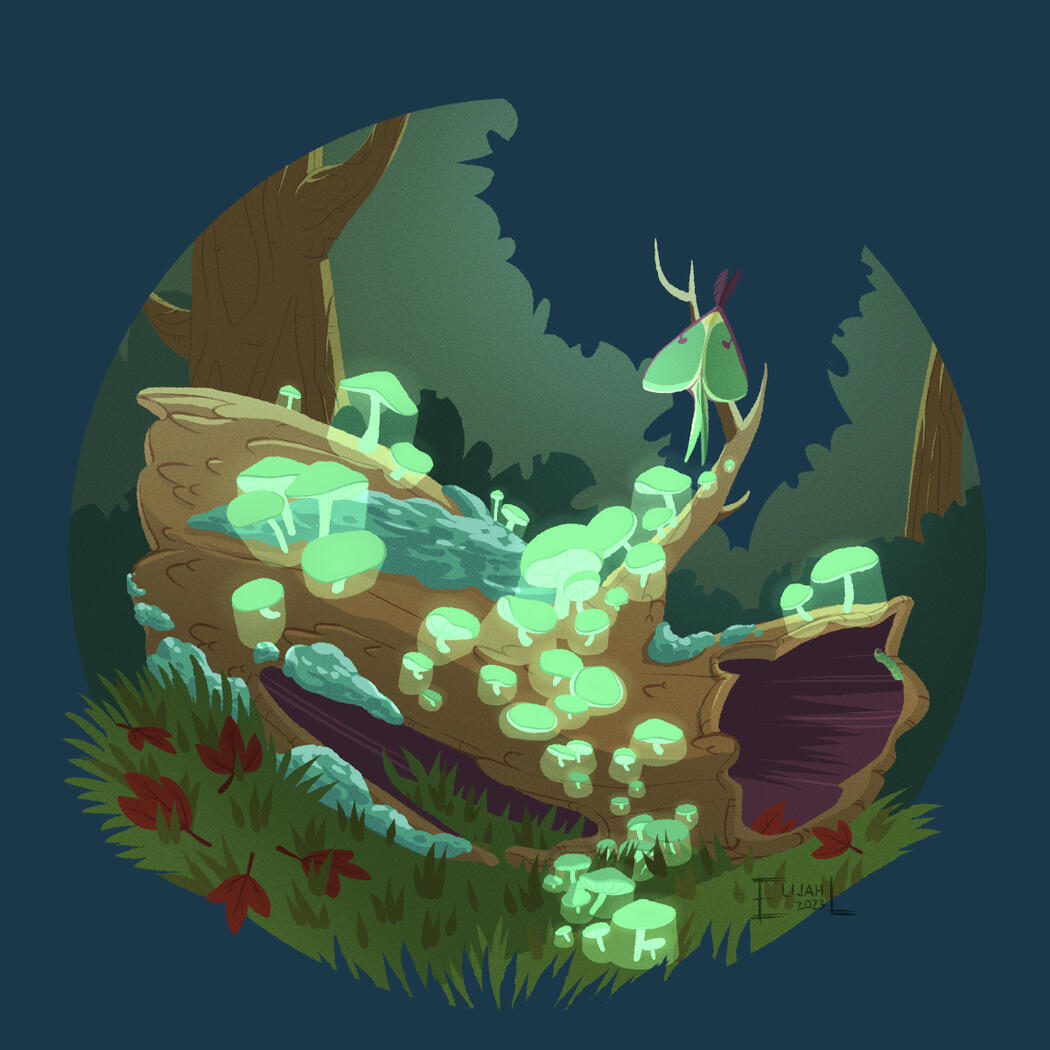 Lovely Decay, Nighttime